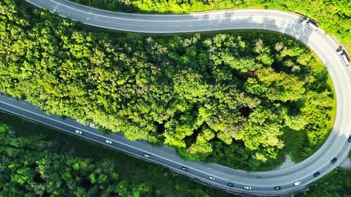 Curvy road in green forest. A winding road curves through a dense forest