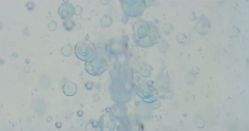 Slow motion macro of micro particles molecules in a liquid are analyzed with microscope for resear