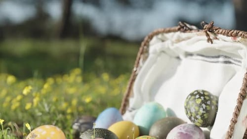 The wicker basket with Easter eggs has fallen and the decorated eggs are lying on the green grass am