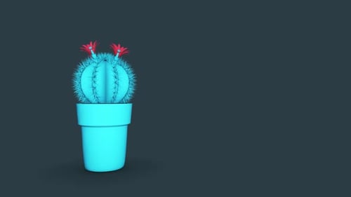 Cactus Blue On Gray