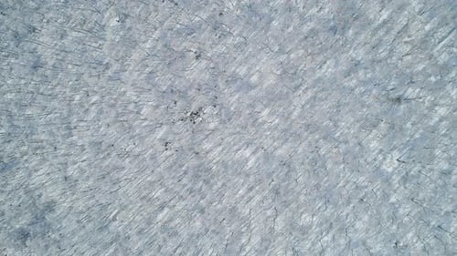 Aerial Top Down View of a Frozen Forest with Snow Covered Trees at Winter Flight Above Winter Forest
