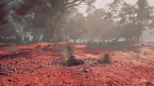 Red Dirt Field With Background Trees