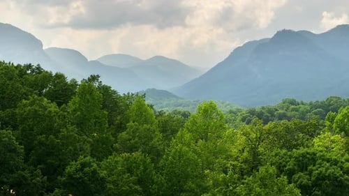 Green Forest in North Carolina Appalachian Mountains USA American Nature in Summer Season