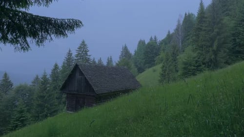 Rain in the mountains, old cabin in a clearing with green grass and flowers surrounded by tall fir t