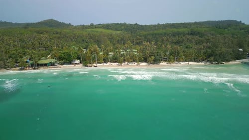 Aerial of Stunning Tropical Beach with Coconut Palm Trees and Turquoise Sea