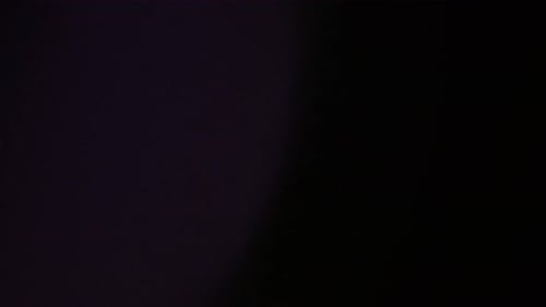 Illuminate Collection: Fading in and out light leaks with an ambient purple hue