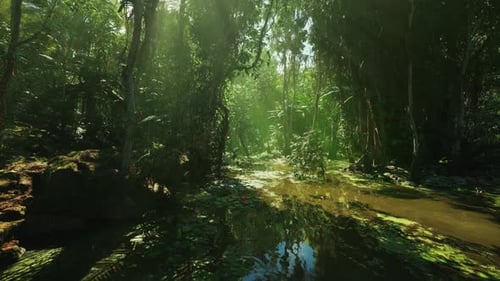 Dusk in Misty Marshlands Calm Twilight Over Foggy Bayou Waters