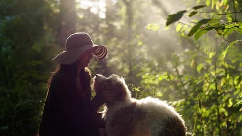 Woman and Dog in Golden Forest Sunlight