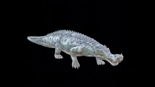 Wild Crocodile Walk Idle