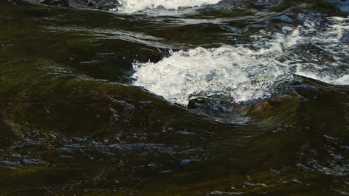 Waterfall View In Wild Nature 099