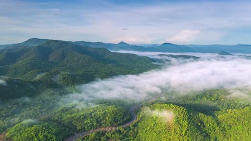 Beautiful aerial view sea of fog in the morning forest mountain.