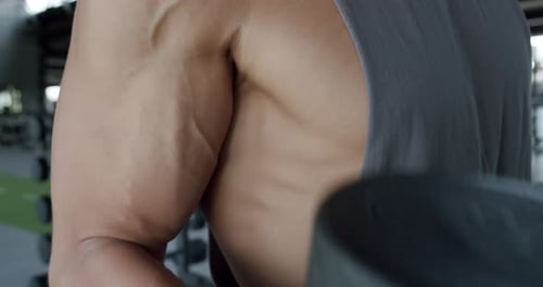 CloseUp of Muscular Arm Holding Weight in Modern Gym