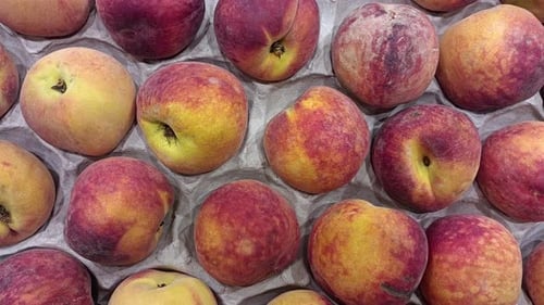 Peach Rotating