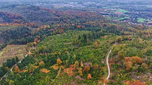Stunning video in the height of autumn, top view. View of colorful forests and country roads