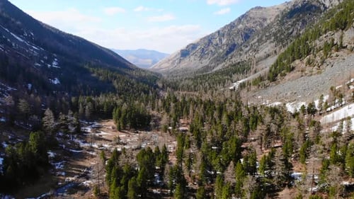 Breathtaking Valley and Coniferous Forest in Mountain Landscape Media