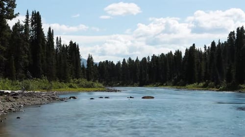 Time Lapse of a river in a forest. Blue sky and clouds moving with blue water and beautiful green f