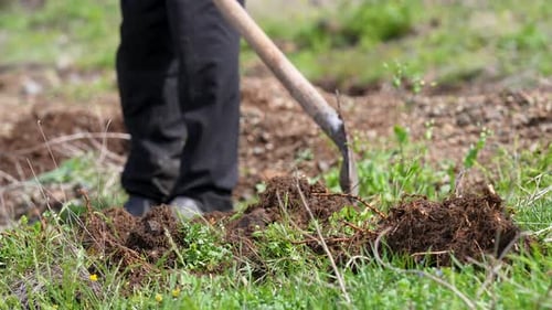 Person Digging Into Ground With Shovel In Field
