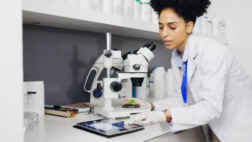 Scientist, plant microscope and woman with tablet for medical research, test or information