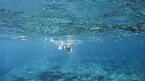 Plongée en apnée dans la mer Ionienne des îles de Céphalonie en Grèce. Prise de vue sous-marine
