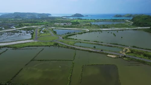Aerial View of Road Near Green Water Fields