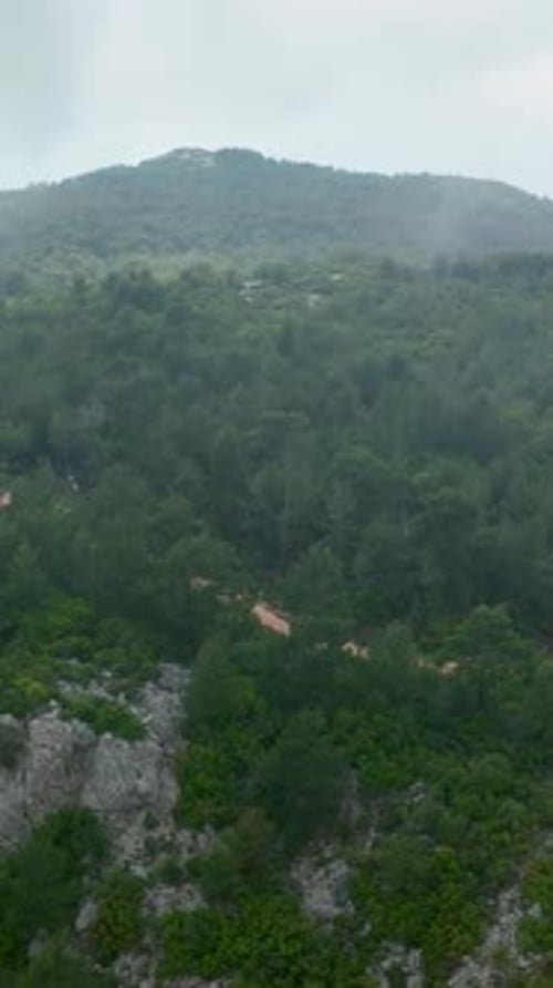 Vertical Video Aerial View of MoistureEnveloped Green Forest After Rainfall