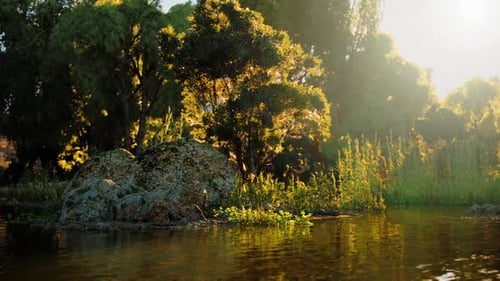 Golden Sunlight on Peaceful Lake Shore Landscape