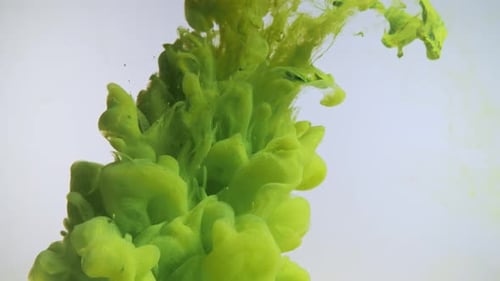 Light Green Color Paint Drops in Water Against White Background