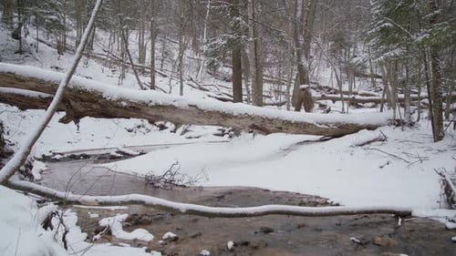 Flowing River Through Shallow Creek in Winter in Deep Forest