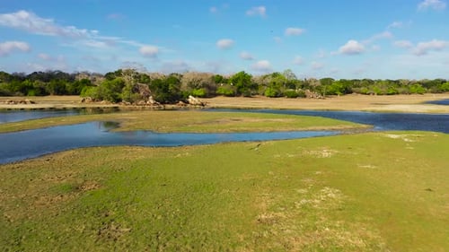 Tropical Landscape with a Lake Sri Lanka