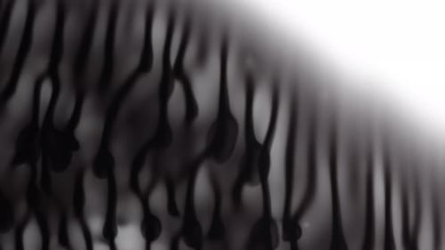 Ink Slowly Spreads In Water