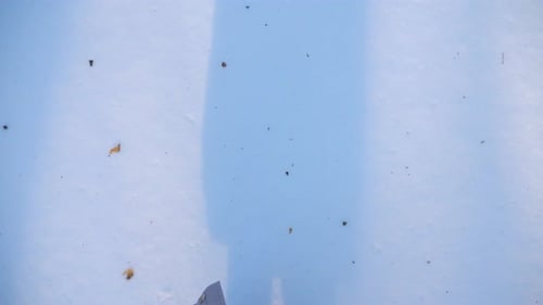 Top View of Woman Legs Stepping on Deep Snow Unrecognizable Hiker Walking in Winter Forest Covered