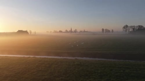 Aerial view of foggy Dutch field with swans at golden dawn light