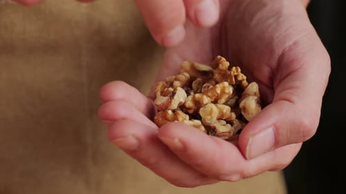 Hands Holding Fresh, Delicious Walnuts