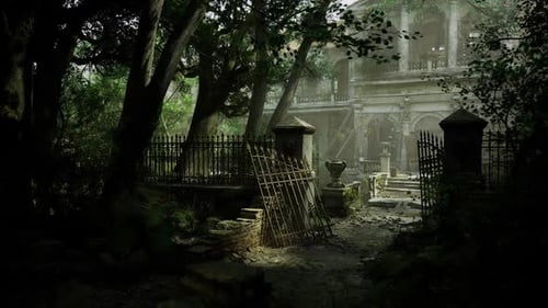 Serene Open Area Enclosed By Majestic Trees and Weathered Stone Basin