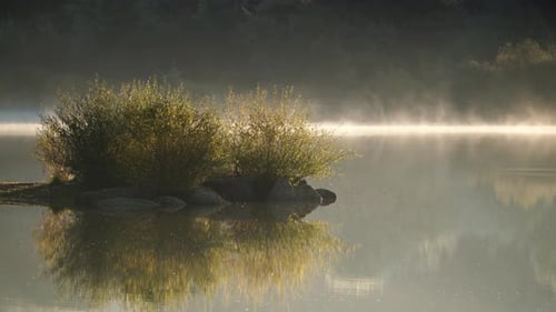 Morning Fog over Autumn Lake, Portugal