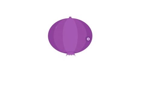 Modern Animated Onion Graphic with Slice Reveal