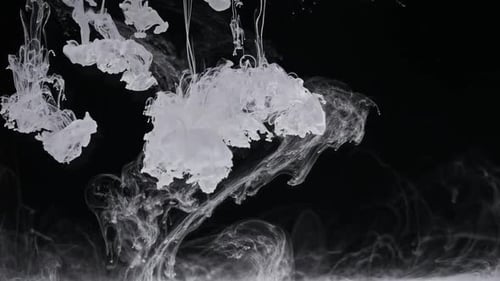 White Ink Dropping into Water on Black