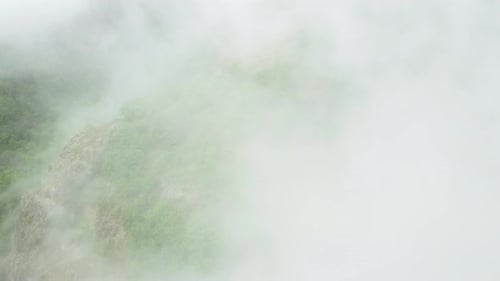 Sommerwald in Berg Natur Top Down Luftaufnahme Über Wolken fliegen Schöner natürlicher Hintergrund