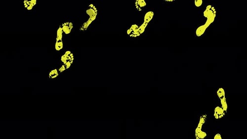 Seamless Footprint Tracking Loop