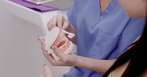 female asian dental assistant in clinic using toothbrush on orthodontic model explaining adult