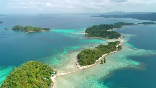 Aerial View of a Tropical Island with Palm Trees and White Sand Beaches Amazing Tropical Island in