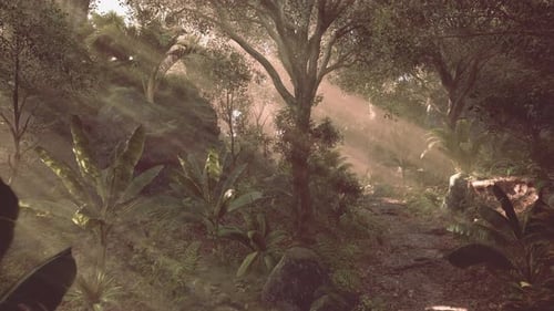 Tranquil Forest Path Illuminated By Soft Sunlight in a Serene Landscape