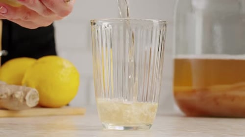 Thé Kombucha Scoby Fungus, boisson fermentée au kombucha faite maison, bactéries et levures