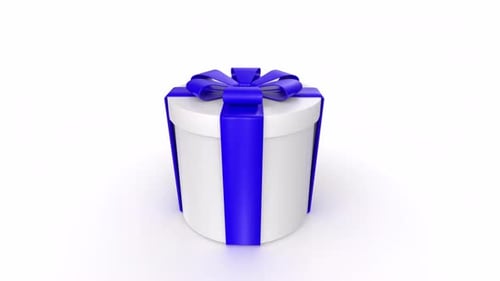 Elegant White Gift Box with Blue Ribbon