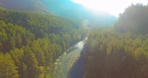 Low Altitude Flight Over Fresh Fast Mountain River with Rocks at Sunny Summer Morning