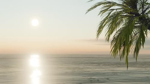 Ocean Beach Nature Tropical Palms Island Seamless Loop Background