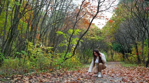 Lovely beautiful park in autumn season with a girl walking by