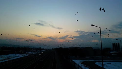 At sunset, a drone flying with crows over the road