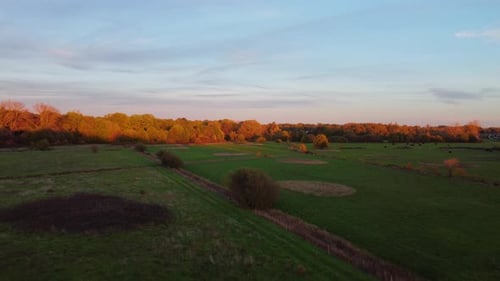 Autumn colored forest and vast green agriculture fields, aerial drone view