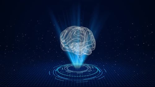 Holographic Brain on Digital Grid for AI Technology